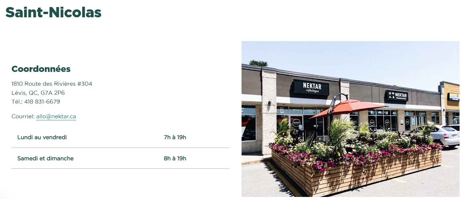Nektar Caféologue